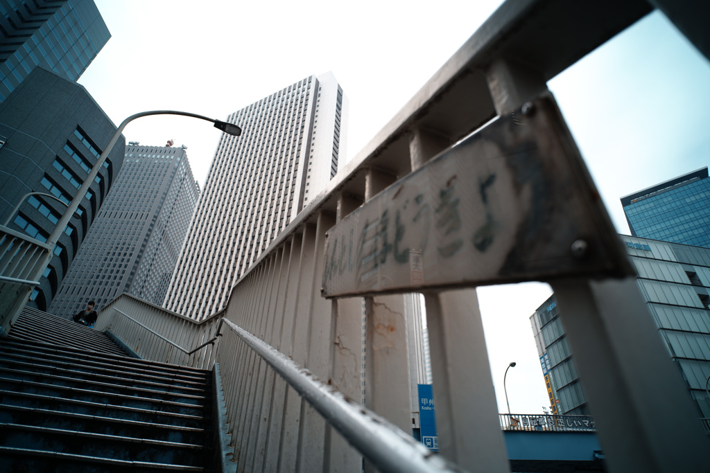 COLOR-SKOPAR 21mm F4 P ①