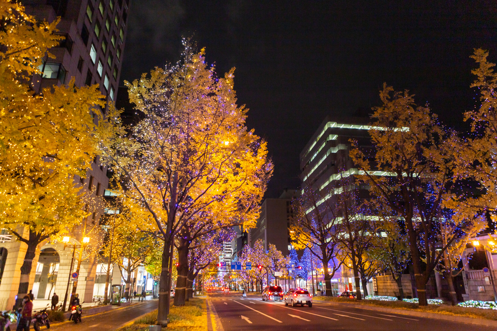 夜の御堂筋