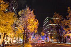 夜の御堂筋