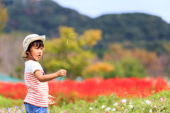 のどか村
