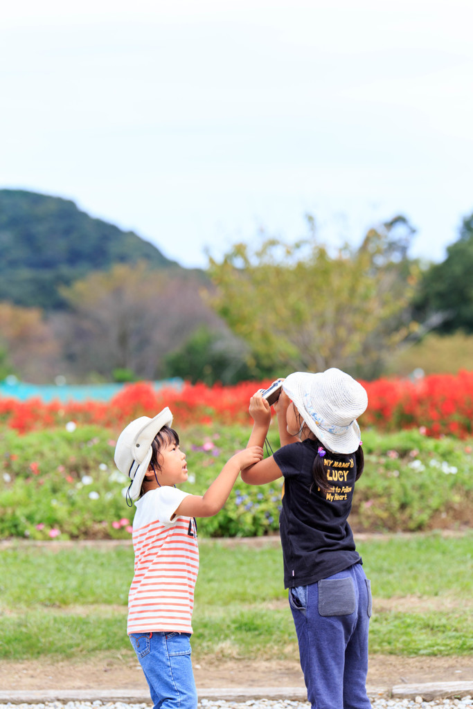カメラの取り合い
