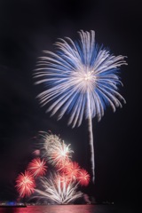 2019夏