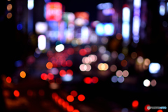 この世界のどこかに....