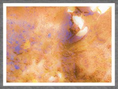 黄金の流れとイチョウの葉