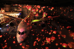 flight of dream