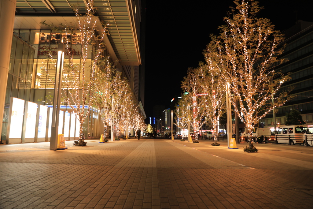 名古屋駅前イルミネーション