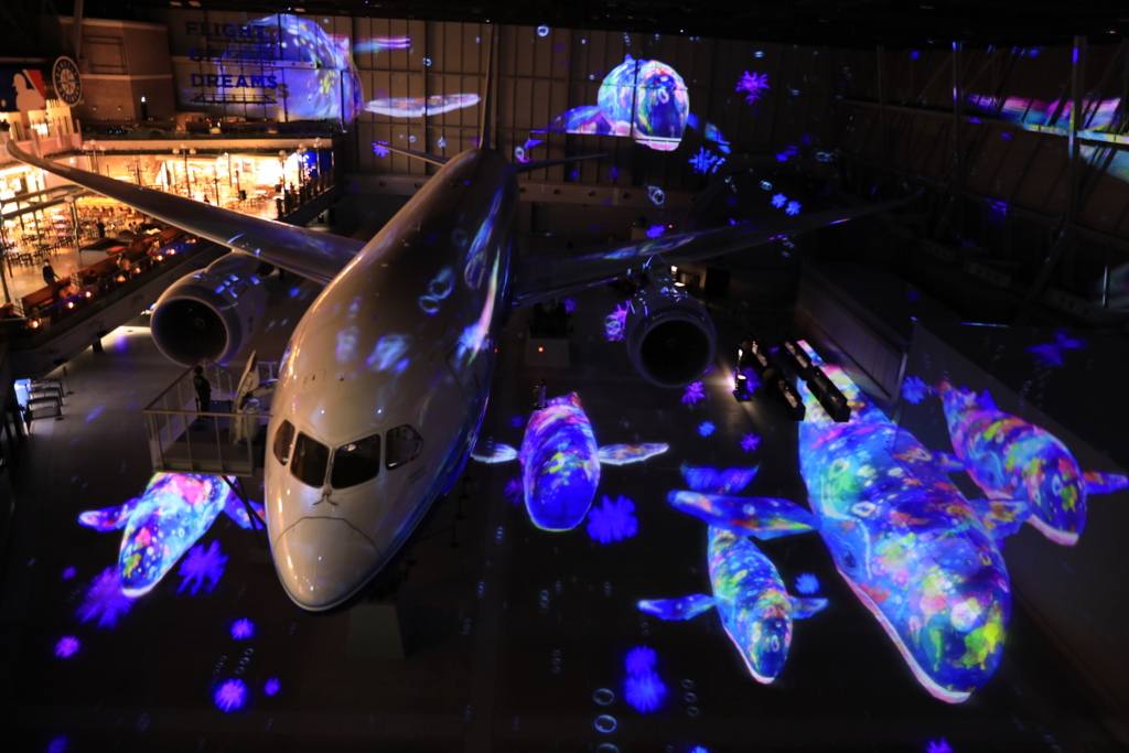 flight of dream