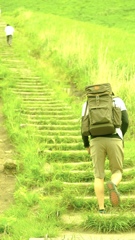 BB5FD0EA-B28E-402A-8248-52CEE0AB03C6