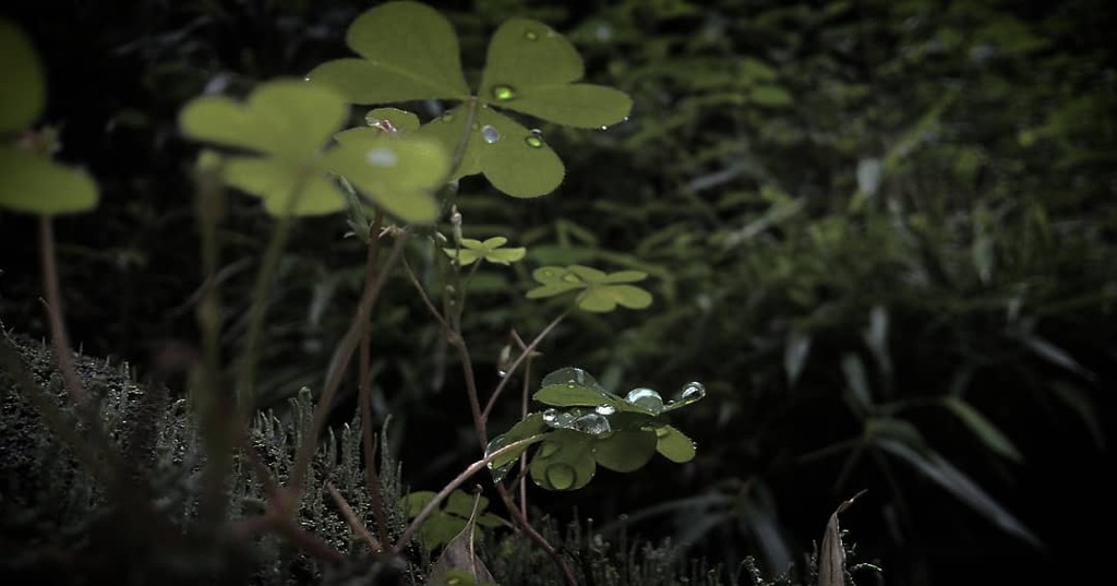 雨天の静寂