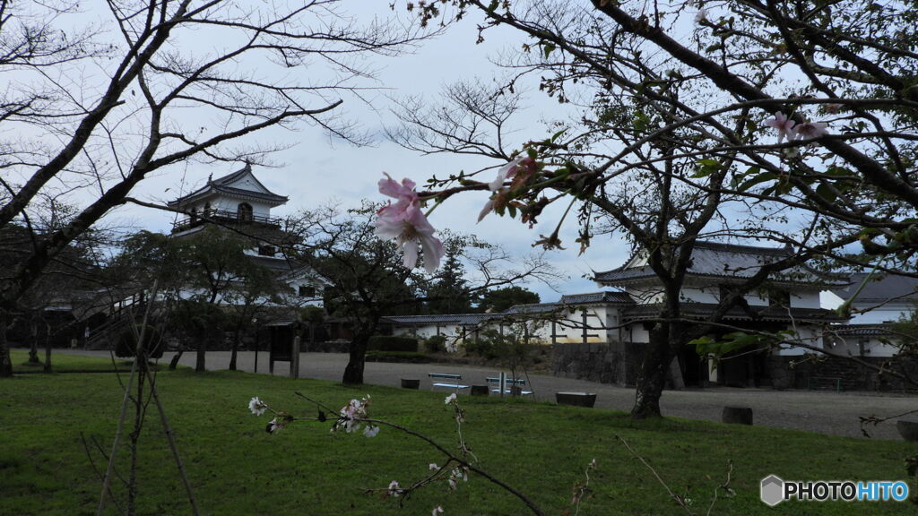 白石城と十月桜
