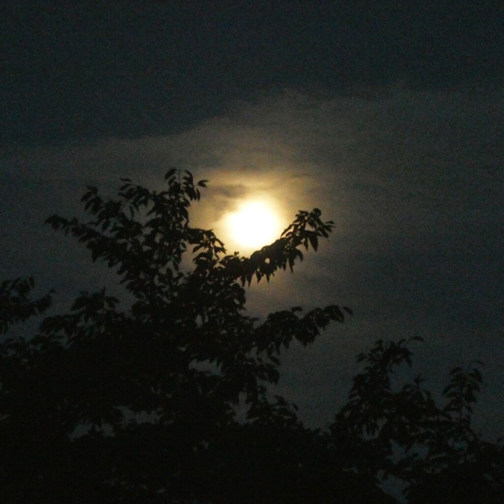 Good night