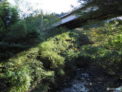 橋架下の景色 2