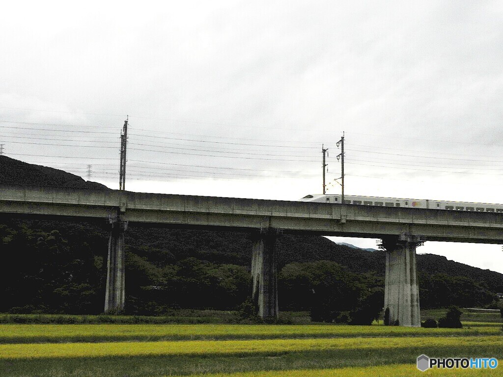 田んぼ風景スナップ