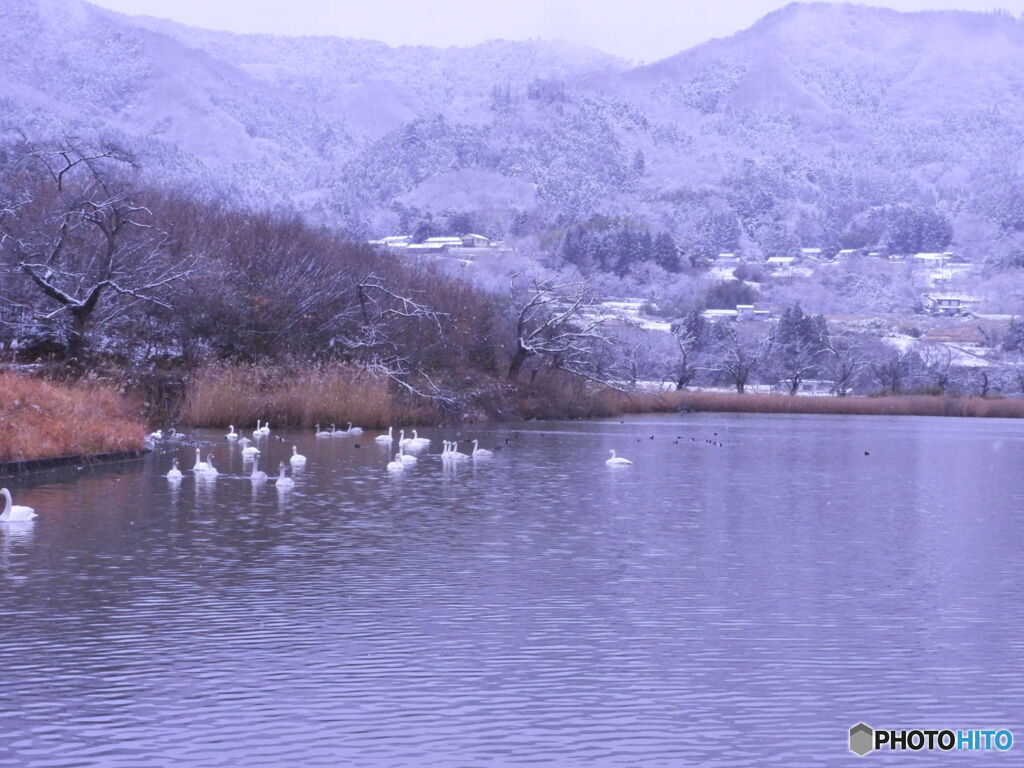 馬牛沼の冬景色