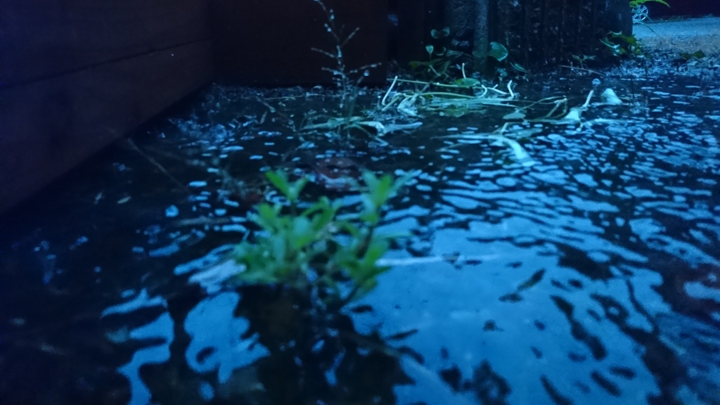 Rainy day