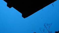 Blue world
