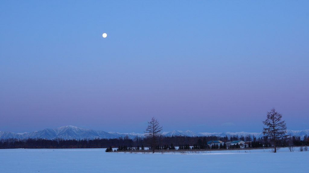 十勝・朝その２