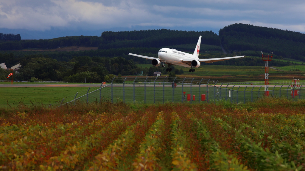 旭川空港・秋