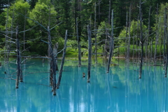 青い池