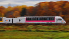 限定列車？特急宗谷