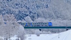樹氷
