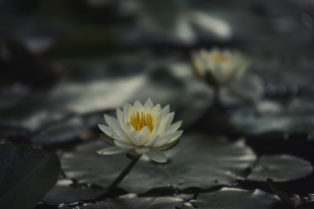温まる灯り