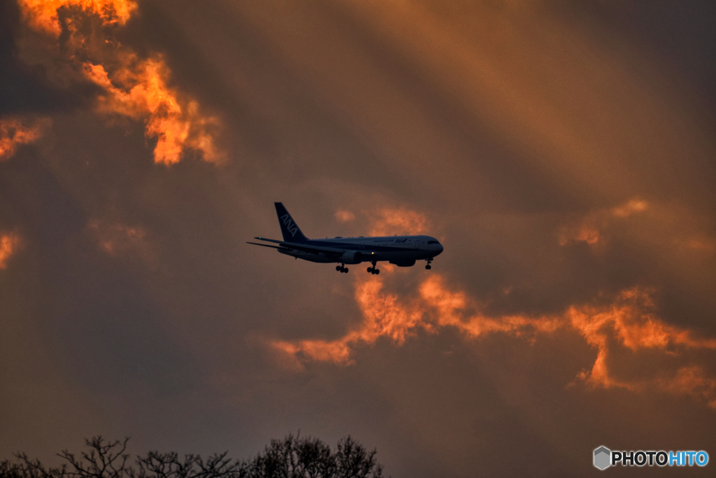 夕暮れの着陸してくる飛行機