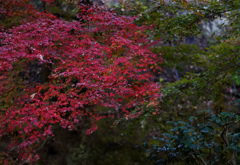 円覚寺