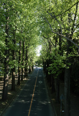筑波研究学園都市
