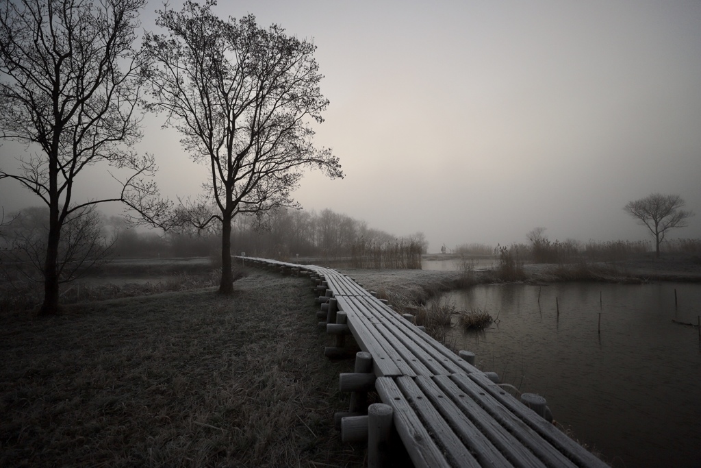 8C337D6C-45F8-4BB1-B5EC-16BAF854229A