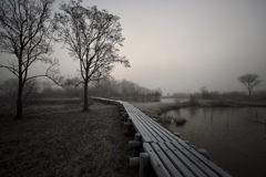 8C337D6C-45F8-4BB1-B5EC-16BAF854229A