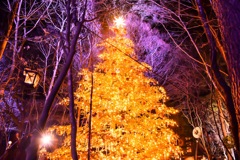 1E223978-B14F-45D3-8235-F2840392B2B9