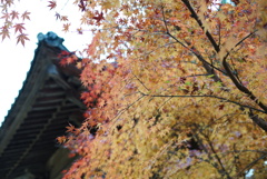 五台山 竹林寺