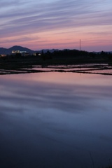 水田に写る夕空