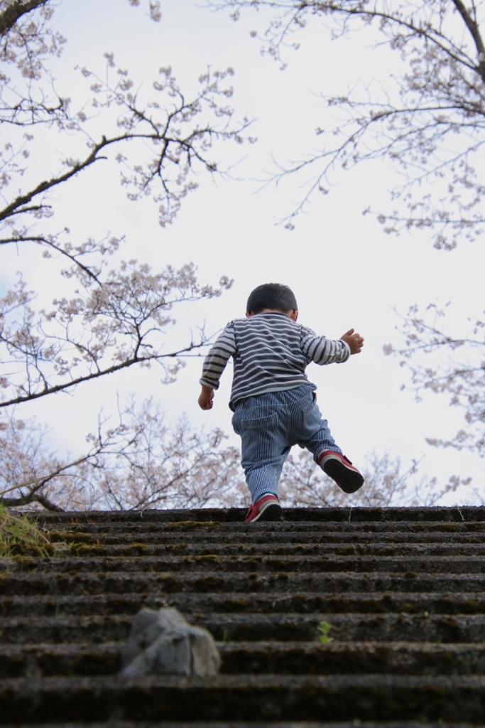 駆け上がる。