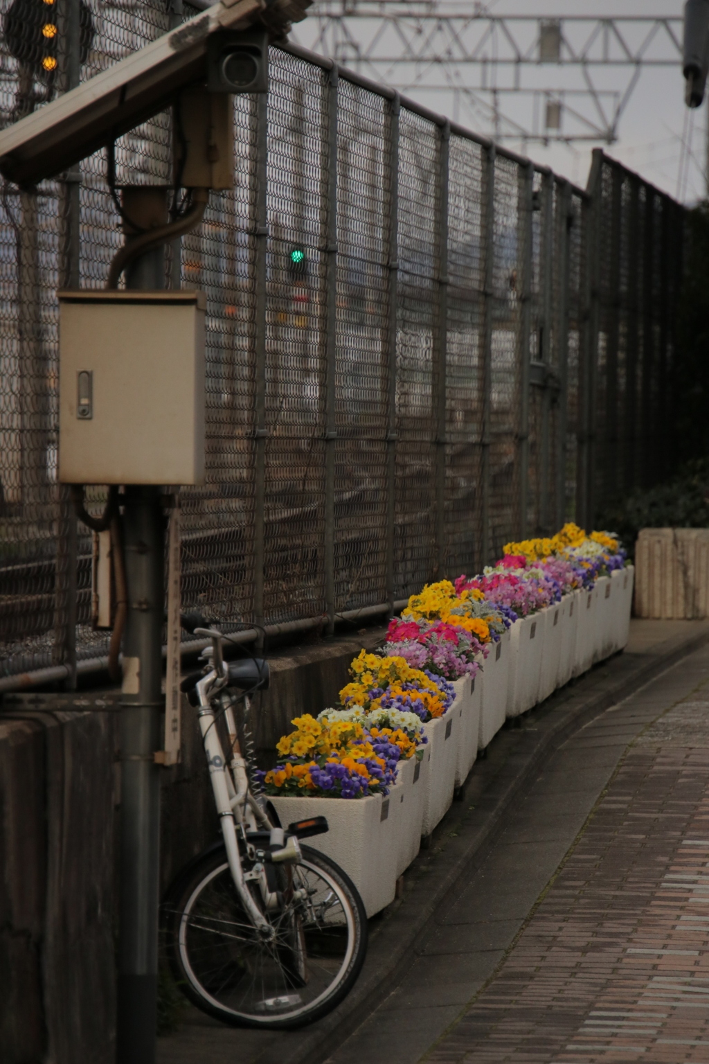 自転車と金網と花壇