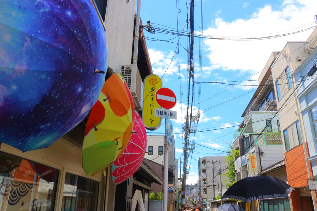 陽気な１日