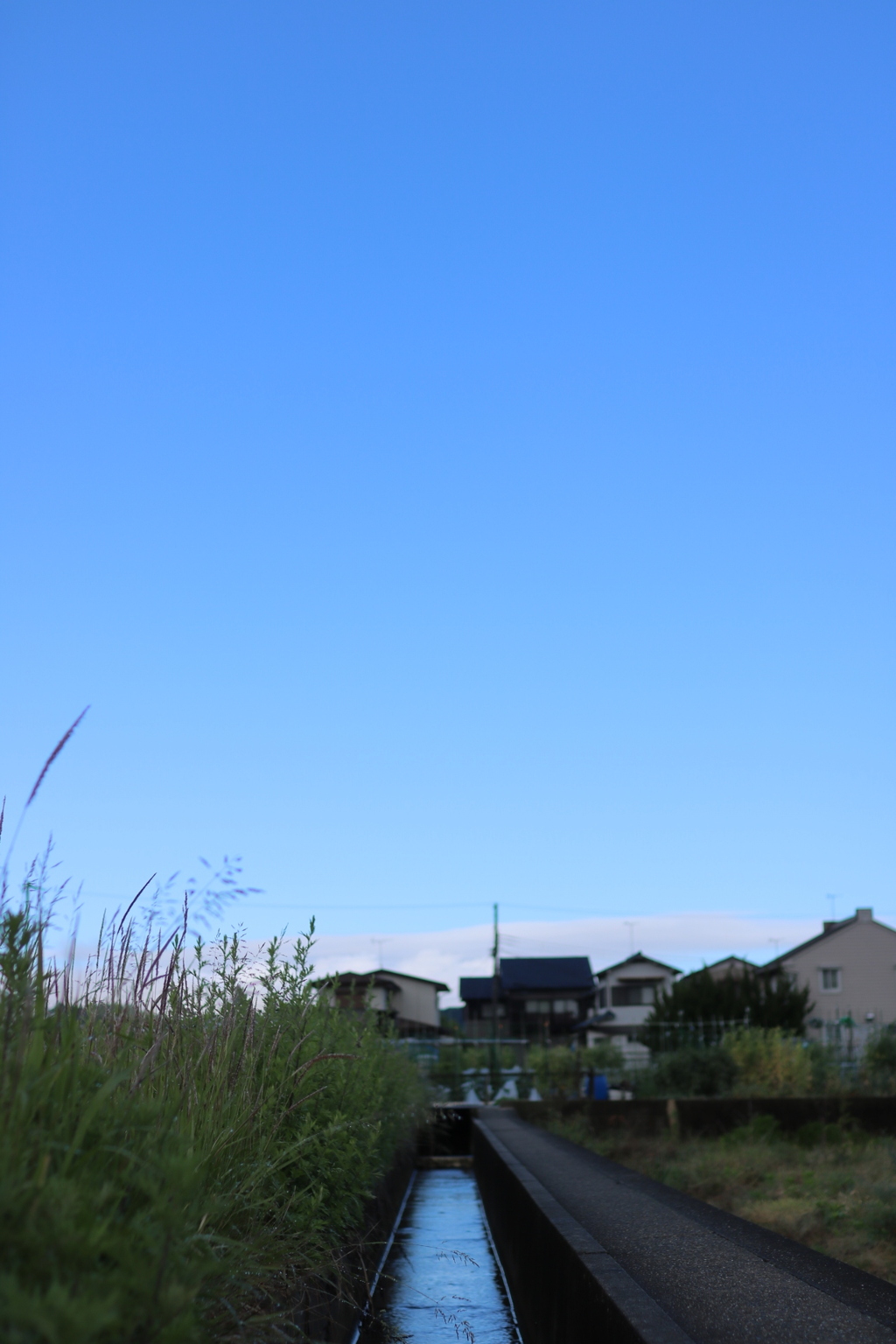 青空