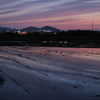 水田に写る夕空2