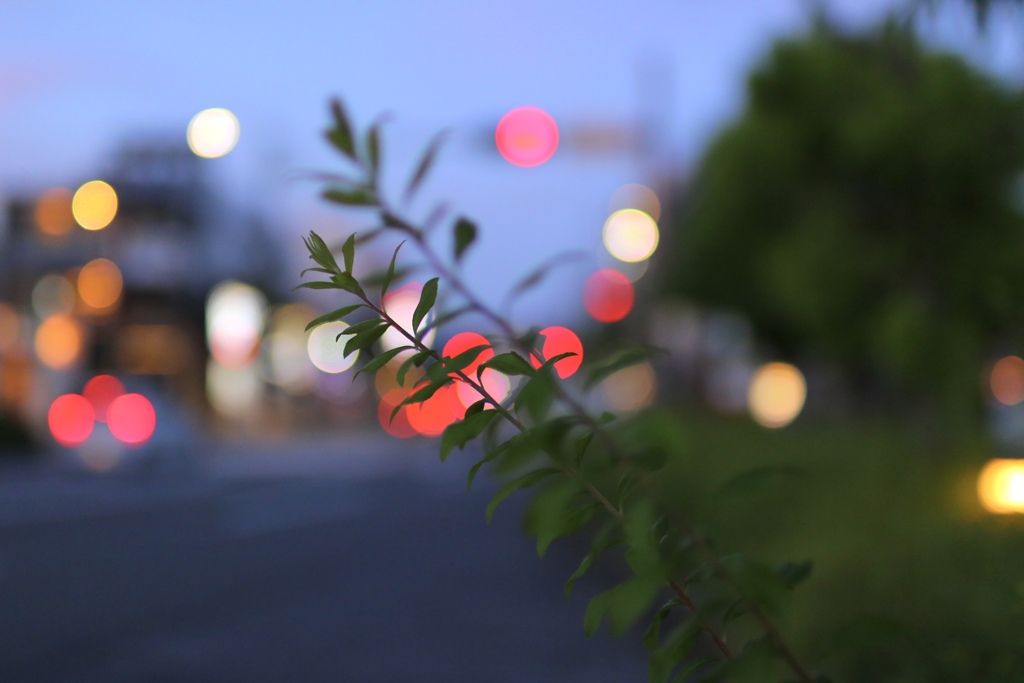 幹線道路の光