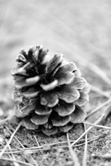 60BC2803-3EDE-4E22-90D9-67212694A07C