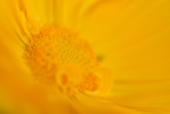 0E7CB92C-2D49-435D-8BB3-0B589E479233