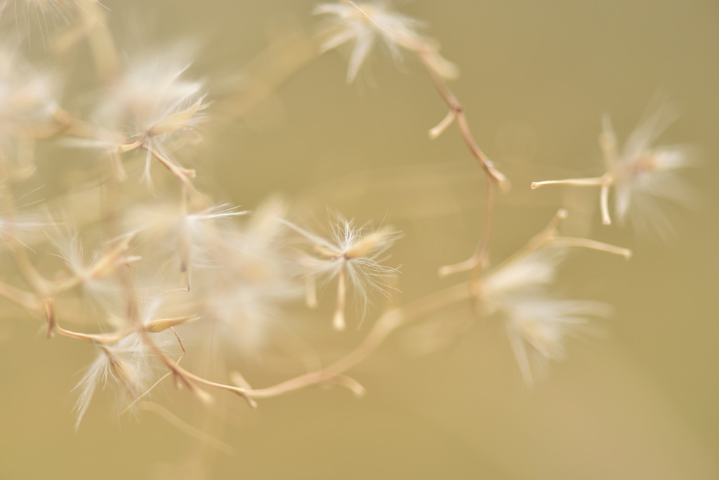 9EC243FE-EECE-4A22-A3C3-C7A332265FA0