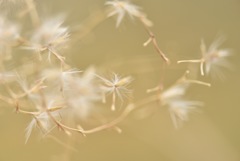 9EC243FE-EECE-4A22-A3C3-C7A332265FA0