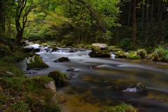 116D9399-FD7A-4F52-B6EF-BEE2E6D98942