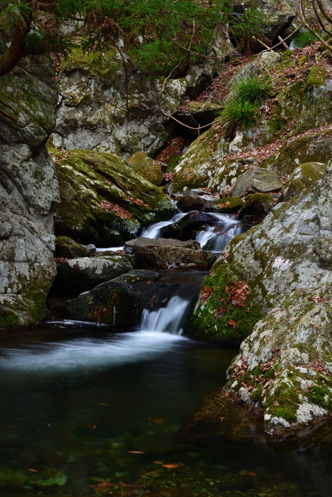 2E834A5F-D062-4F22-A768-82753DDD47C1