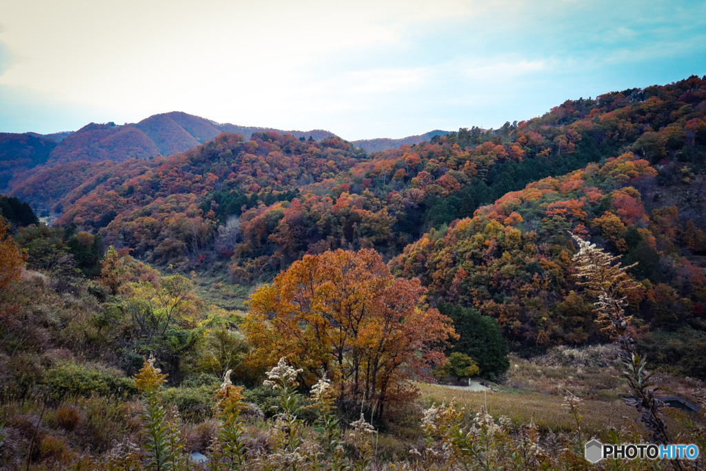 晩秋の紅葉