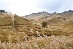 砥峰高原