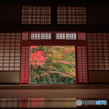 紅葉真っ盛り