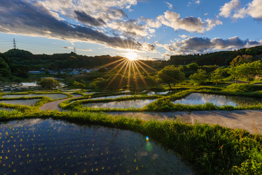 田植えの時期